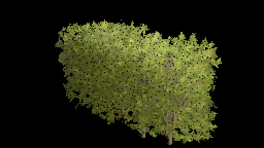 Deko Boxwood Bush 01I