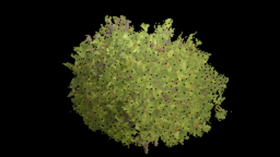Deko Boxwood Bush 01K