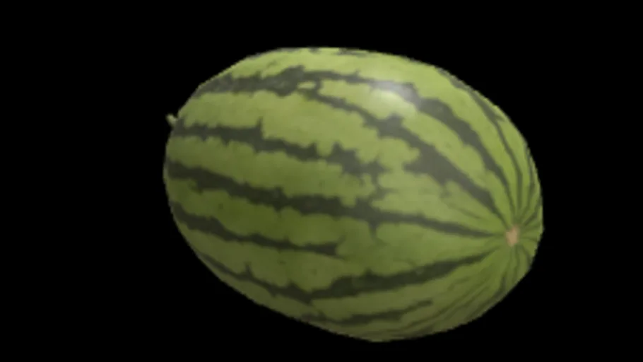 Melon