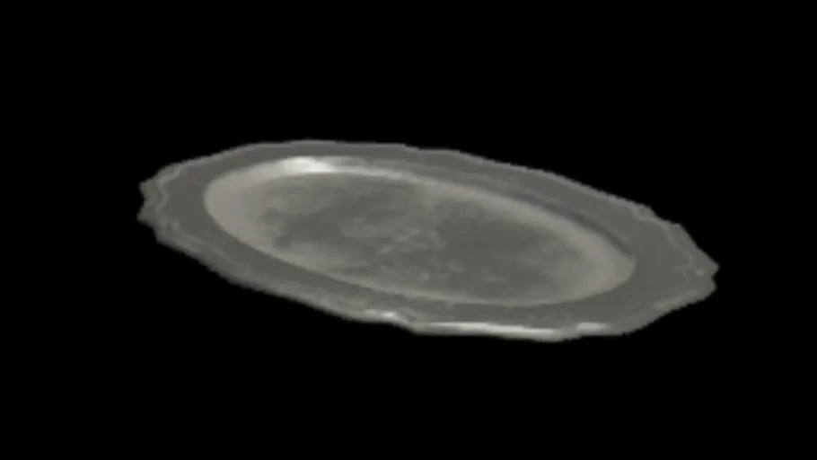 Metal Tray
