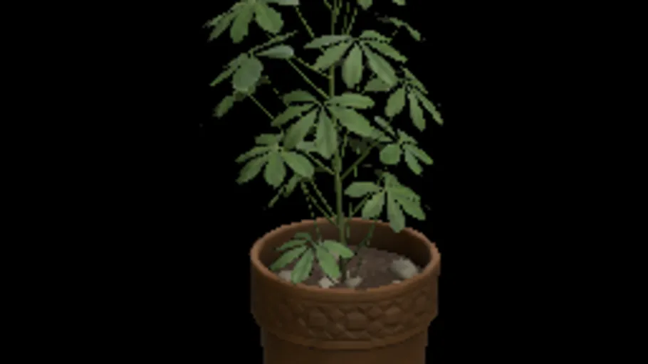 Potted Plant 2
