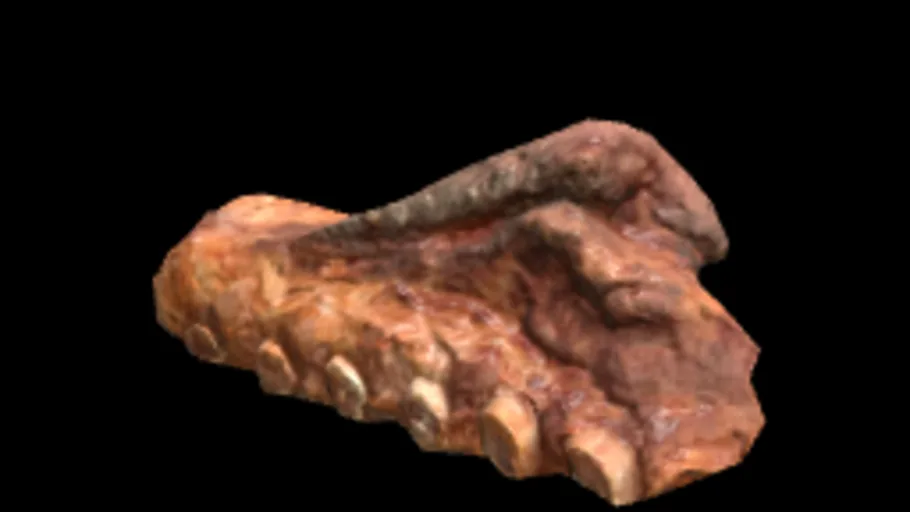 Roastmeat