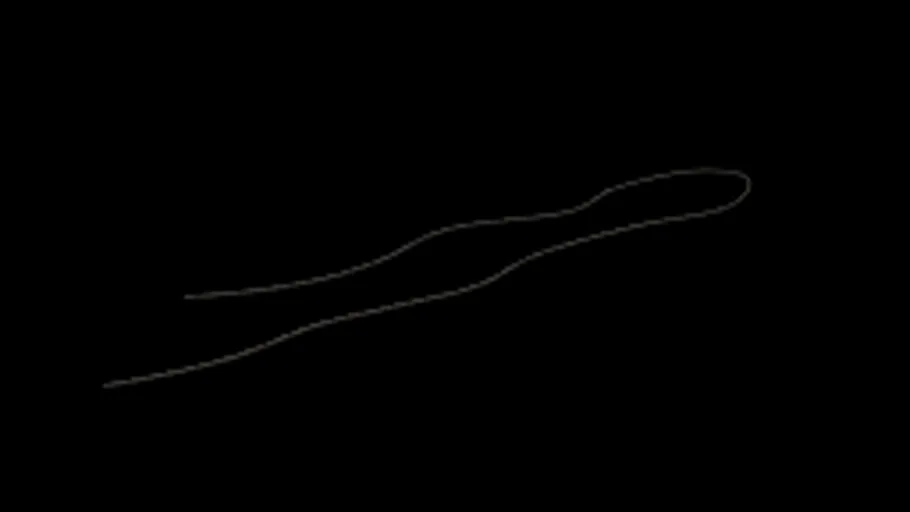 Bunker Wire 03