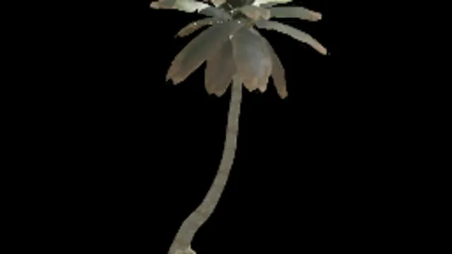 Palm Tree 02