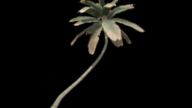 Palm Tree 03