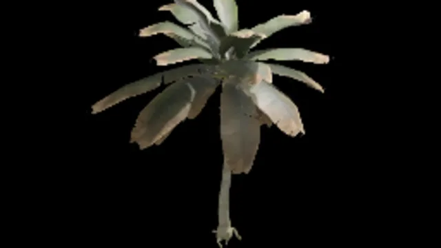Palm Tree 04