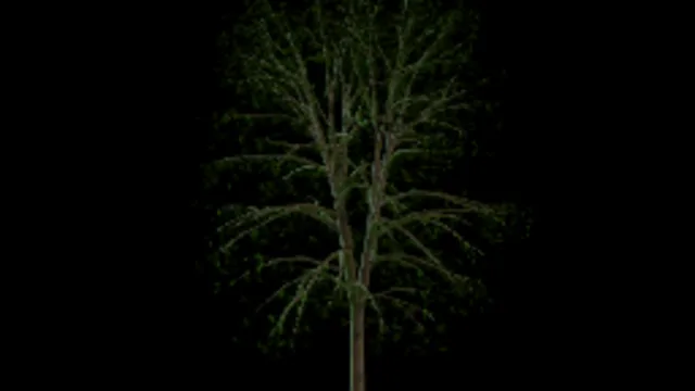 street_tree