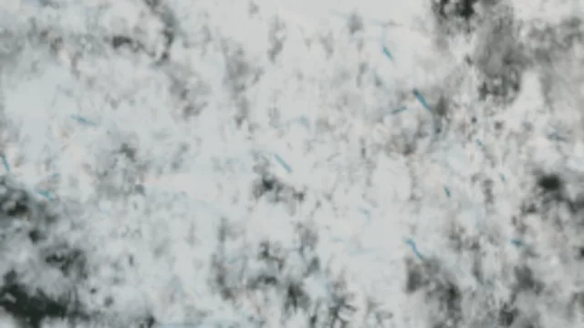 Snow 2 (2k)