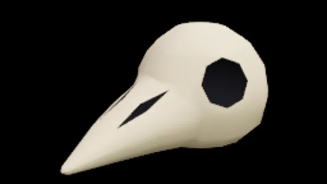Bird Skull