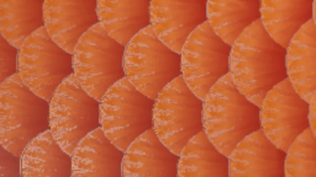 Fishscale 1 (2k)