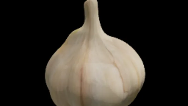 Garlic