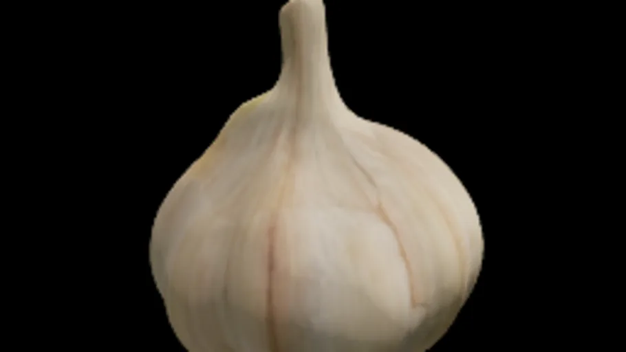 Garlic