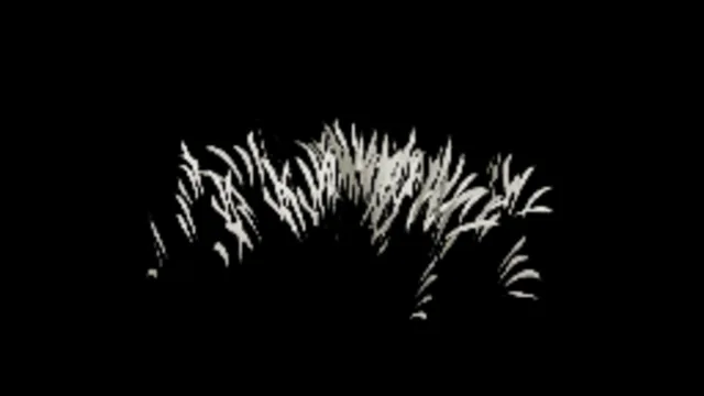 Grass 1