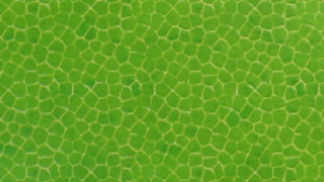 Leaf 1 (2k)