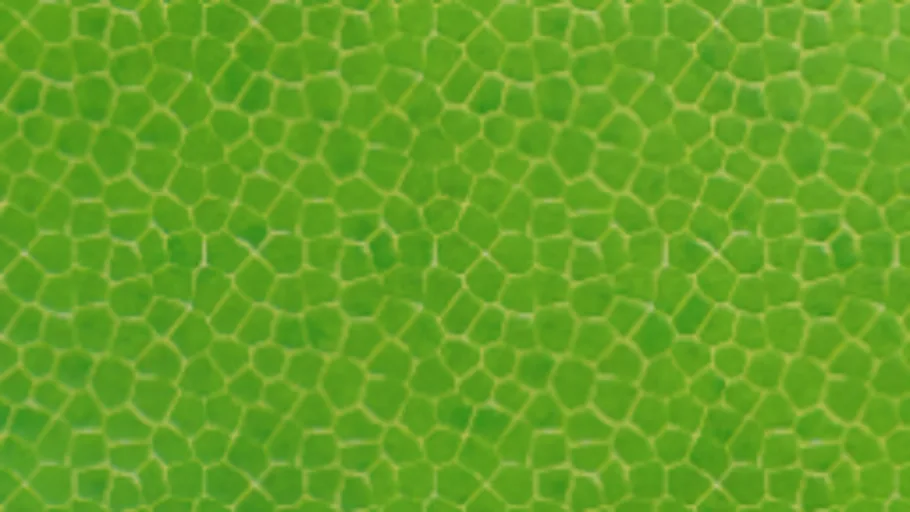 Leaf 1 (2k)