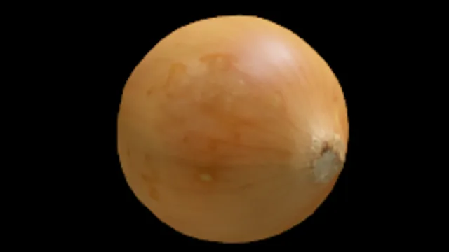 Onion 1