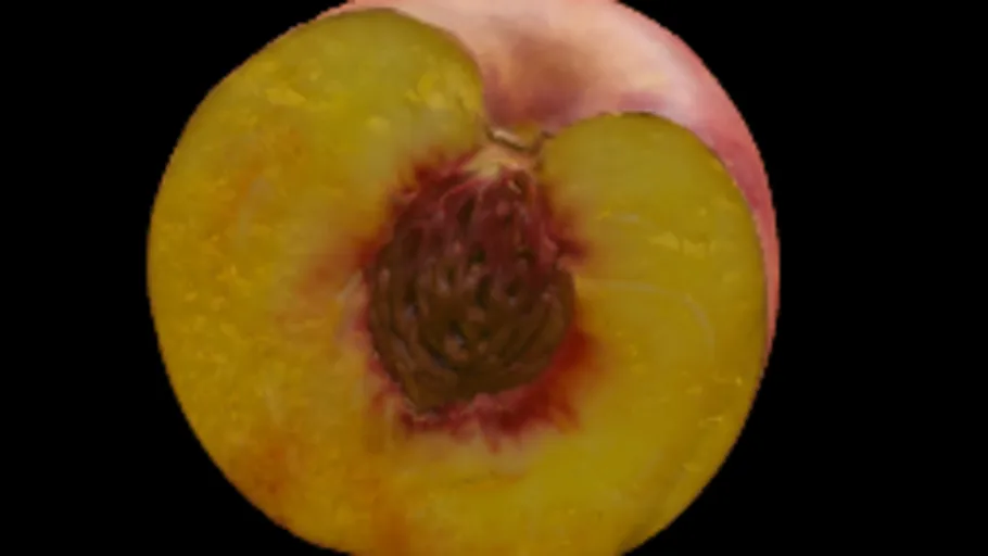 Peach Half
