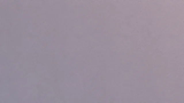 Plaster 22 (2k)