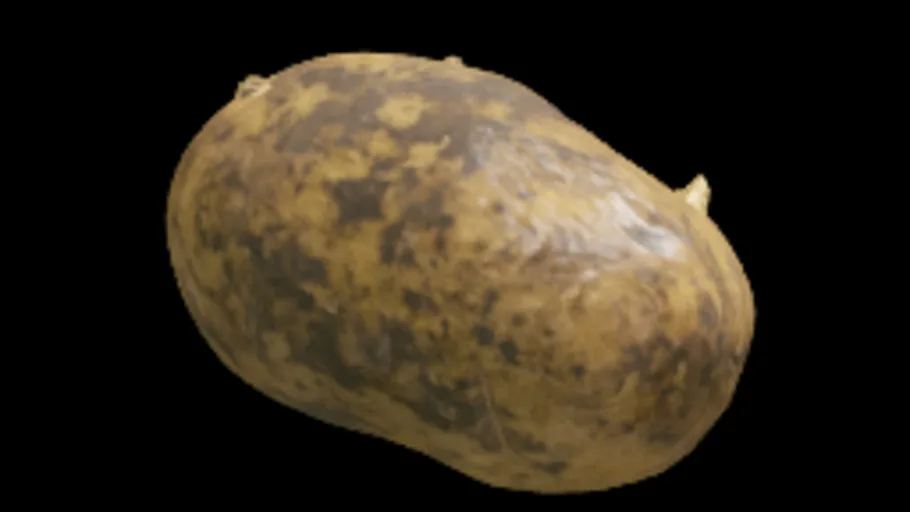 🥔 Potato 1