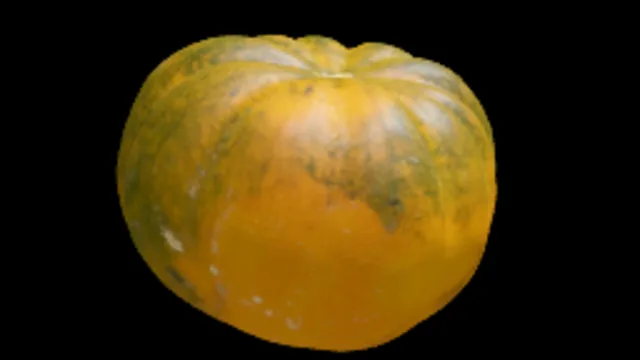 Pumpkin 5