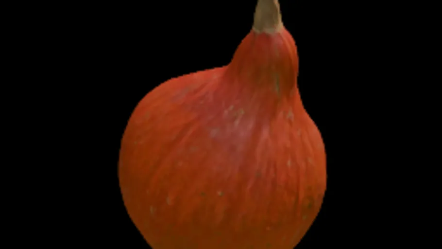 Pumpkin 6