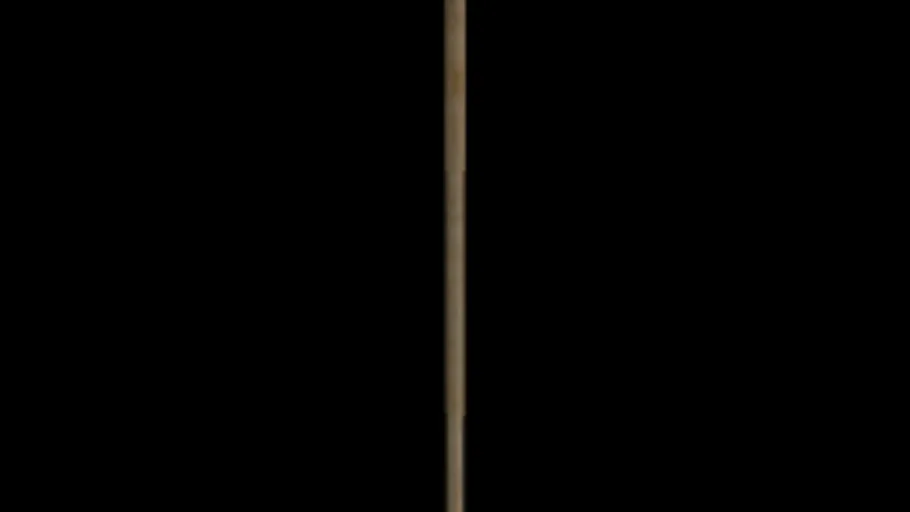 Spear