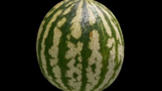 🍉 Watermelon
