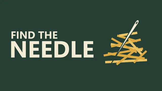 Find the Needle