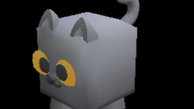 Pet Pets Animal Cat