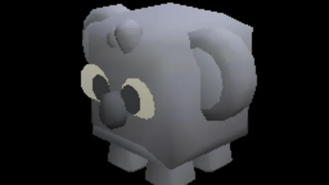 Pet Pets Animal Koala
