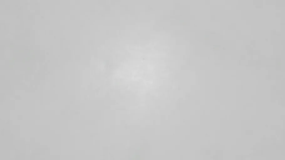 Tintable Plaster