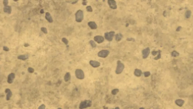 Blend Gravel 01