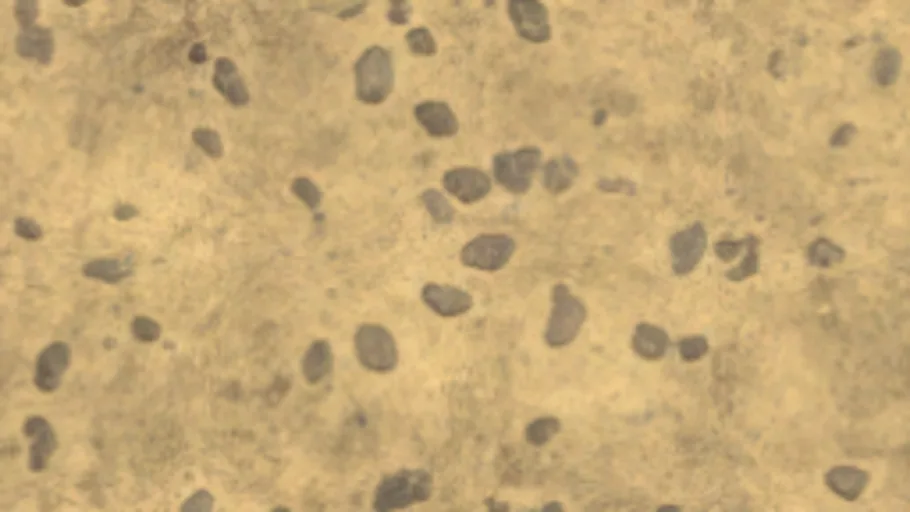 Blend Gravel 01