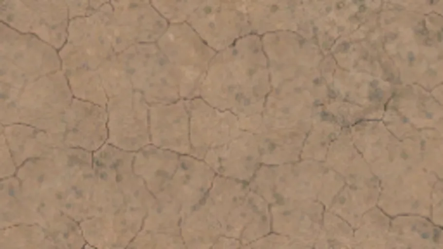 Mud 01 Dead