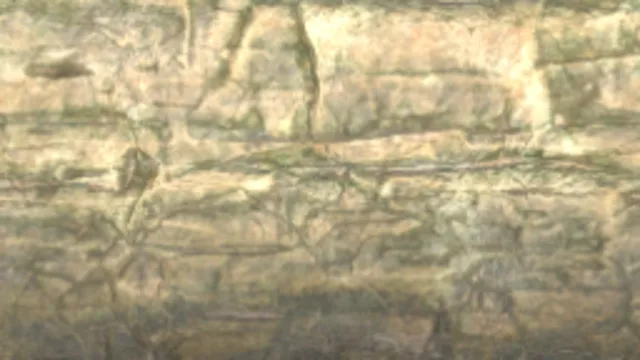 Cliff Face 001A