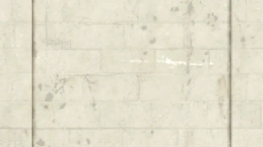 Concrete Wall 026I
