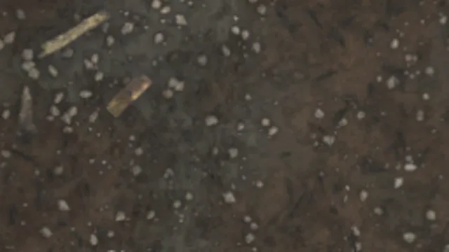Dirt Floor 005C