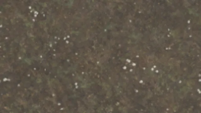 Dirt Floor 012A