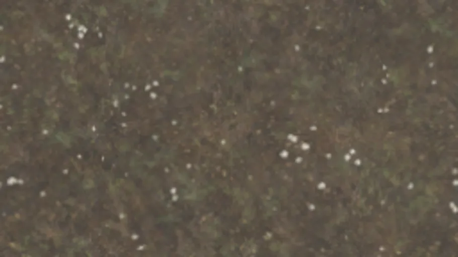 Dirt Floor 012A