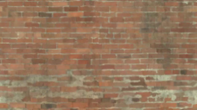 Brick Wall 048I