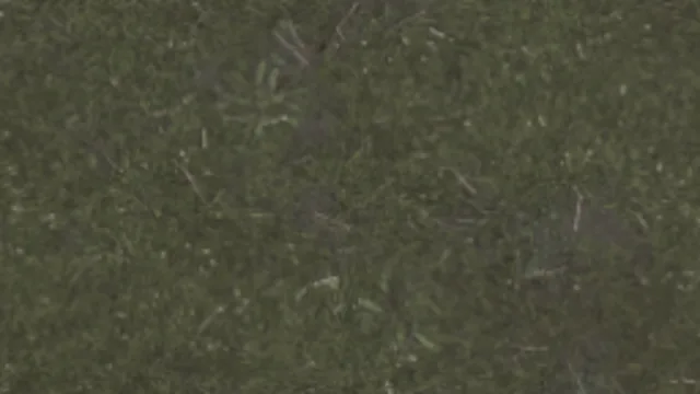Dirt Floor 006A