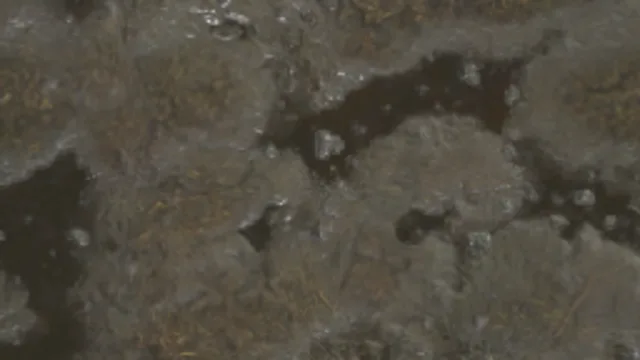 Mud Floor 004B