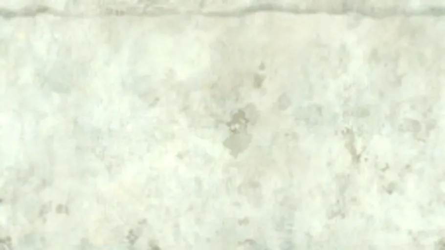 Plaster Wall 029A
