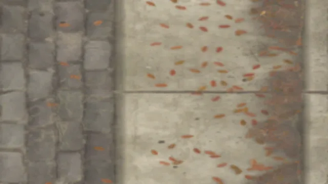 Stone Floor 006B