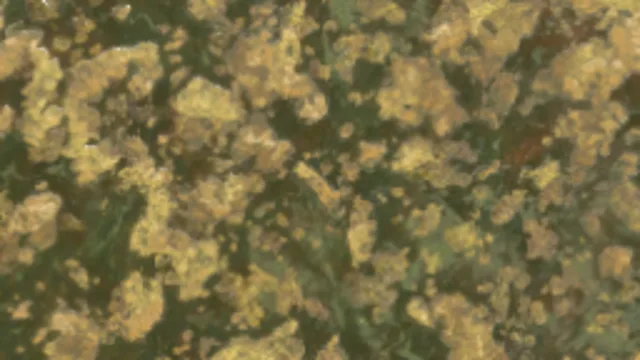 Toxic Slime 002A