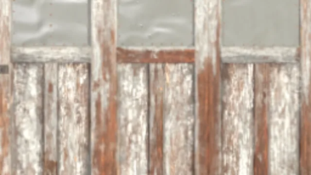 Wood Door 044A