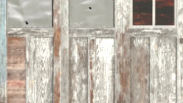 Wood Door 044B