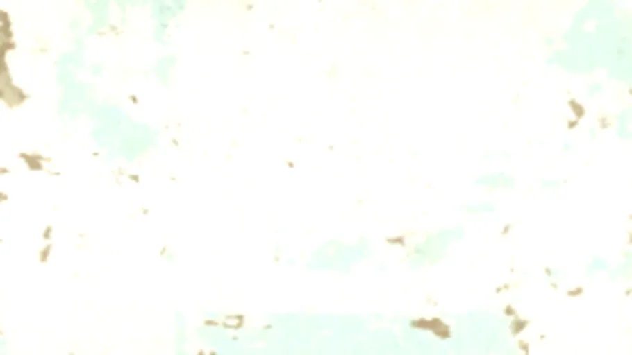Plaster Wallpaper 006A