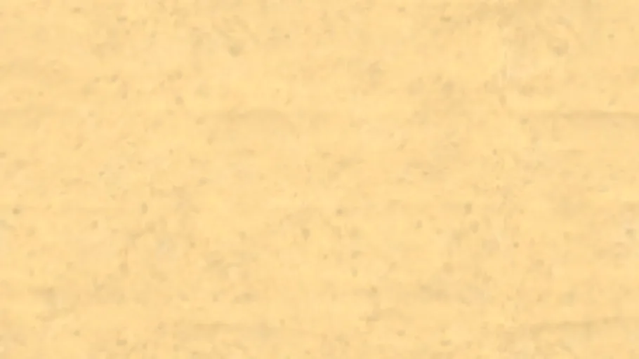 Sand Floor 009