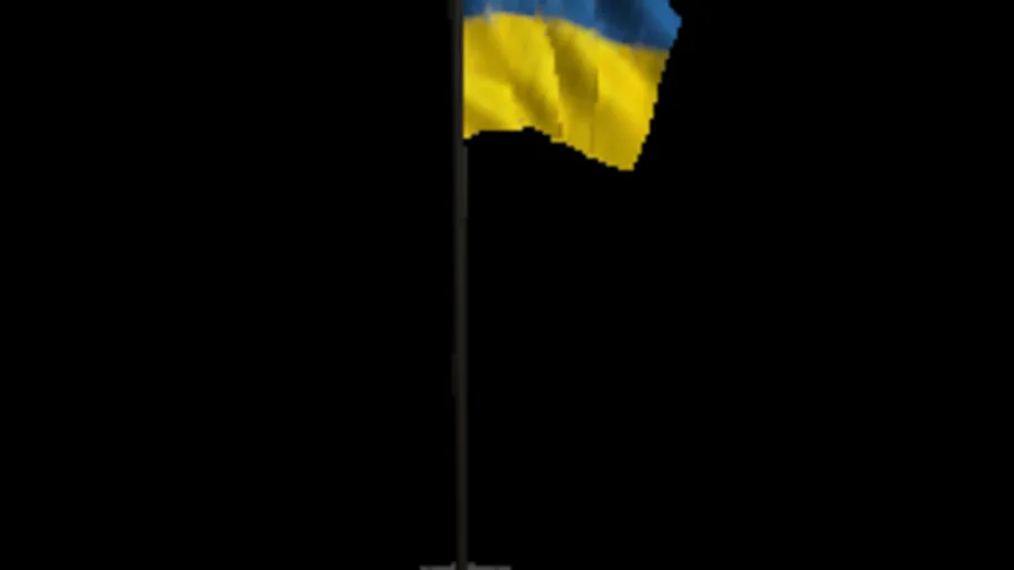 Ukraine Flag
